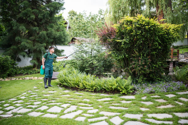 Trusted Mount Carmel, TN Pest Control Experts